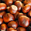 horse chestnut extract - Wintex Ultra Composition 